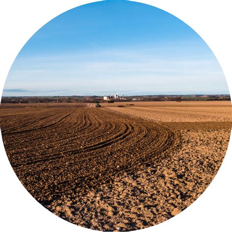 Exploring Tilling vs. No-Till Gardening - KidsGardening