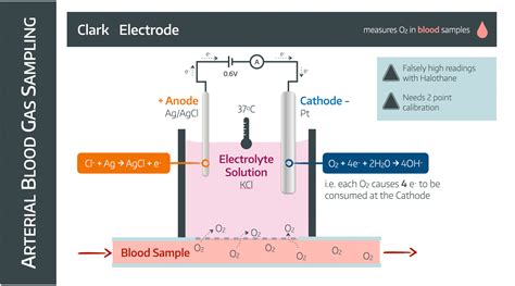 The Clark Electrode