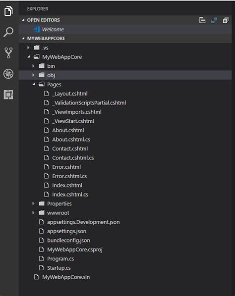 Image result for Visual Studio Code Custom Icon