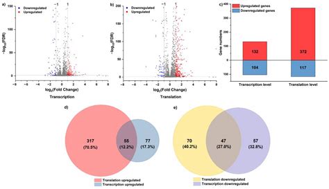Ribosome Profiling Reveals Genome-Wide Cellular Translational ...