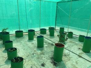 YUVAGREEN Agro Shade Net 50% Greenhouse UV Stabilized (3m x 5m) Garden ...