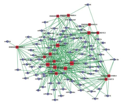 【SNA】社会网络分析二 Gephi 功能详解