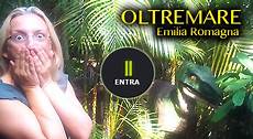 ingresso oltremare oltremare riccione prezzi ingresso hotel con bambino gratis ingresso oltremare oltremare riccione prezzi ingresso hotel con bambino gratis