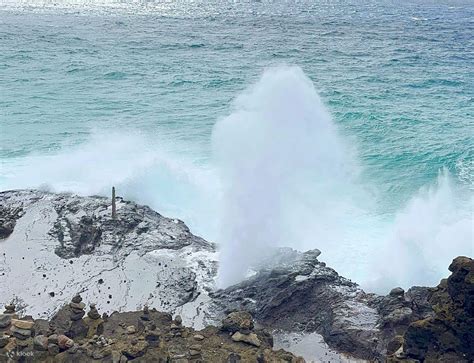 Discover Oahu's Beauty: Circle Island Tour with Malasadas and Garlic ...
