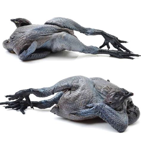 Black Meat Chickens: A Guide to Unique Chicken Breeds with Black Skin ...