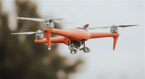 What Is a "Limiting Nutrient" in an Ecosystem? → Learn