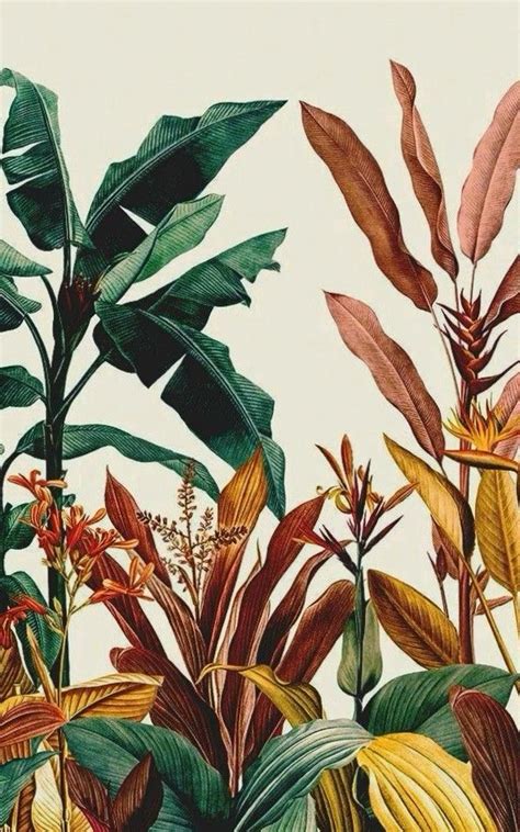 Tropical Plants and Flowers Illustration