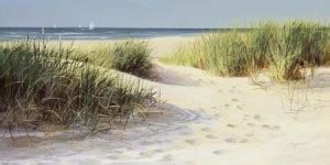 Foot Path Fine Art Print - Jacqueline Penney posters - Nature posters ...