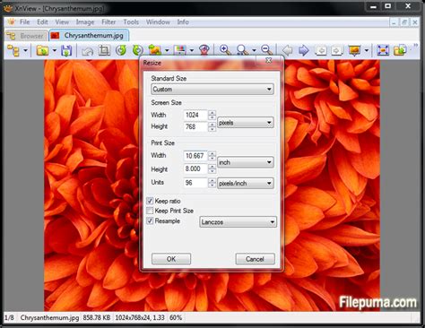 Image result for XnView Acquire into Screen