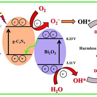 Image result for Reaction Mechanism