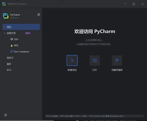 PyCharm Tutorial 2024 的图像结果