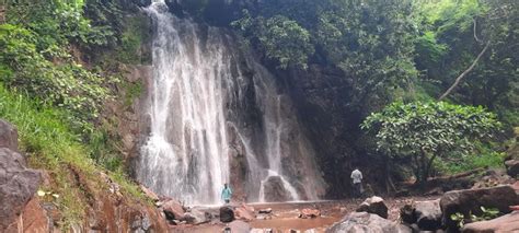 A waterfall flowing from a height of 80 feet in Dharsimel. | જાણે શ્વેત ...