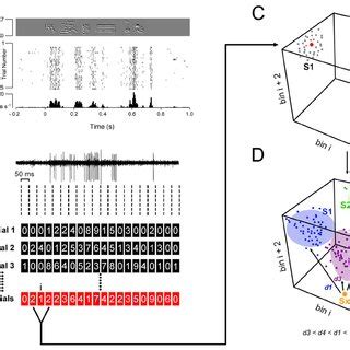 Image result for Coding/Decoding Pattern