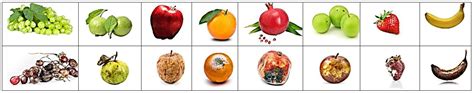 Automatic Fruits Freshness Classification Using CNN and Transfer Learning