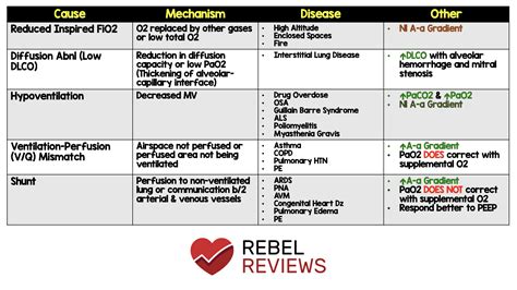 Image result for Hypoxemia Algorithm