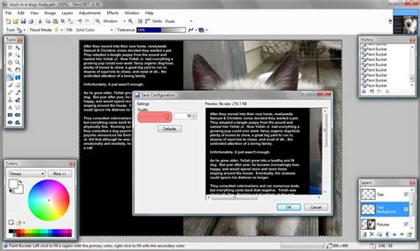 Image result for Paint.net Tutorials