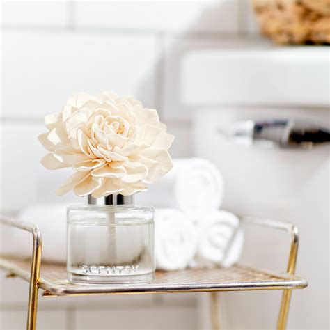 Image result for Fragrance Diffuser