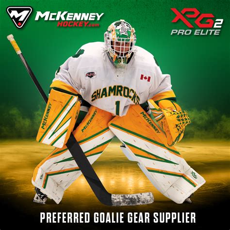 Hockey Goalie 的图像结果