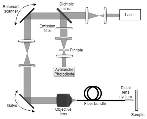 Scanning and Actuation Techniques for Cantilever-Based Fiber Optic ...