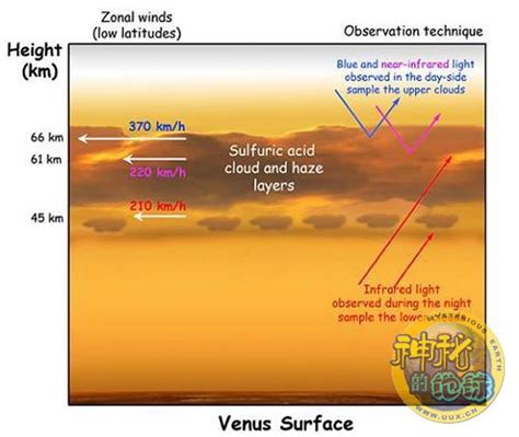 金星 的图像结果
