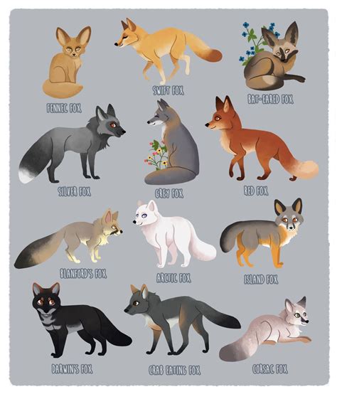 Fox breed compilation! 🌾🌿🌷 | Fox breeds, Pet fox, Cute fox drawing