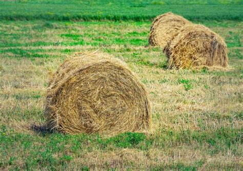 Haystack 的图像结果