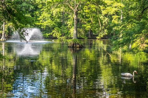 Swan Lake Iris Gardens Tours - Book Now | Expedia