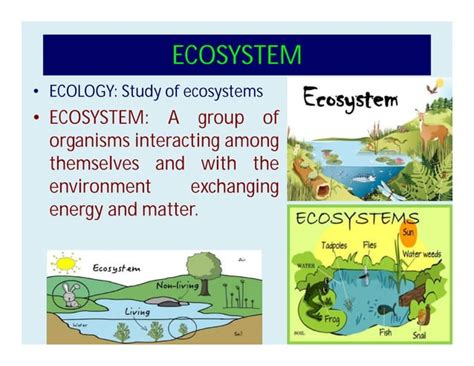 Environmental Pollution Types 的图像结果