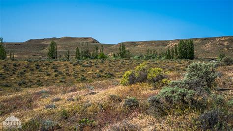 Wanapum State Park Campground