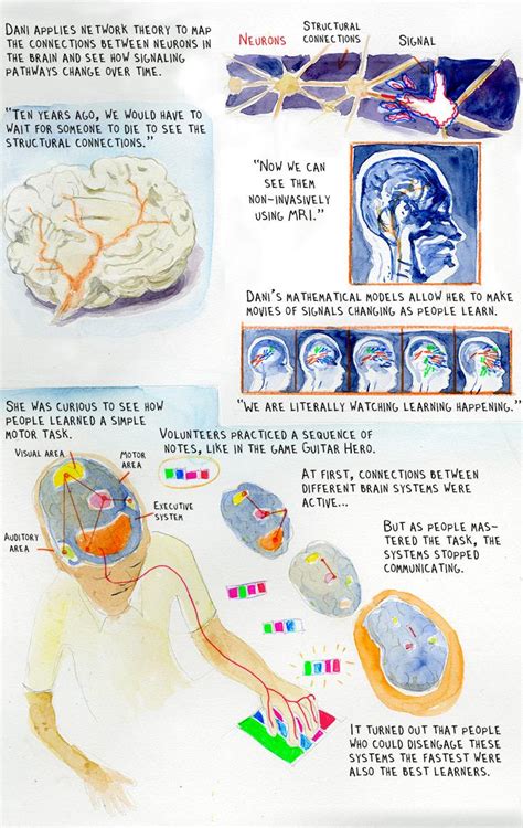 Learning Brain Picture 的图像结果