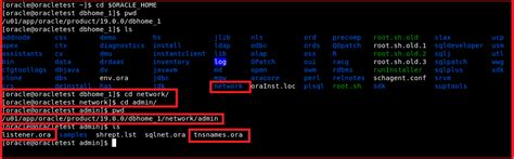 Image result for Oracle Net Listener