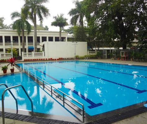 Miracle Pool