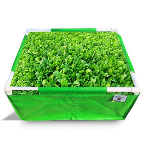 ORGANIC BAZAR 24x18x12 Rectangle Grow Bag with Supporting PVC Pipes for ...