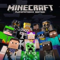Image result for PS4 Minecraft Skin Packs