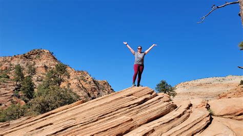 10 Most Incredible Animals In Zion National Park