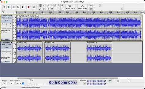 Image result for What Type of Software Is Audacity