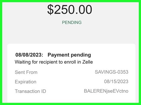 Why is My Zelle Payment Pending? 3 Reasons & Solutions