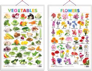 GO WOO Pack of 2 Vegetables and Flowers Educational charts with ...
