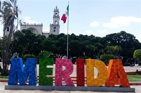 2025 Guided bus tour of the City of Mérida (Merida) - with Reviews
