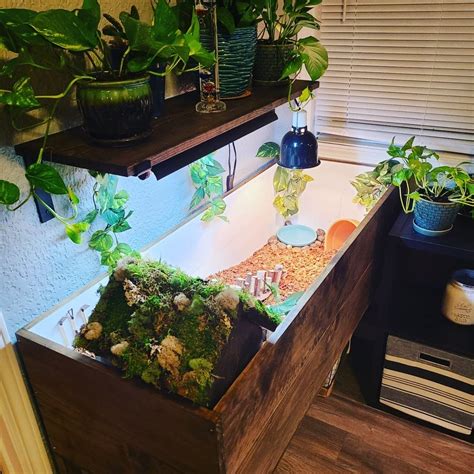 Image result for Tortoise Table