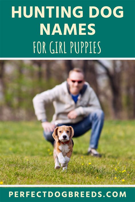 hunting dog quotes