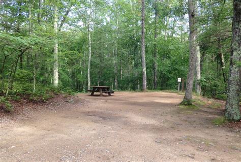 Site 11, West Thompson Lake Campground - Recreation.gov