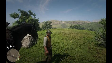 Image result for RDR2 Stream File