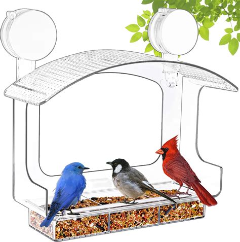 Amazon.com : Gbekery Window Bird Feeder with Strong Adhesive Suction ...