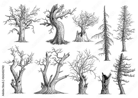 Image result for Draw a Dead Tree