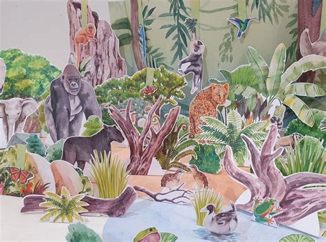 Rainforest Ecosystem Diorama