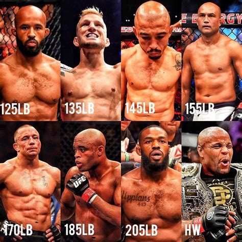 UFC Weight Classes Explained | MiddleEasy