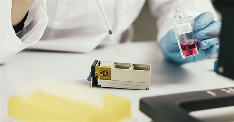 Science Simulator Exploit 的图像结果