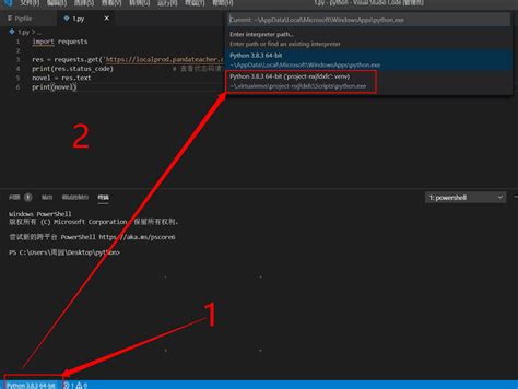Python Pipenv 的图像结果