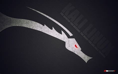 Kali Linux Wallpapers - Top Free Kali Linux Backgrounds - WallpaperAccess